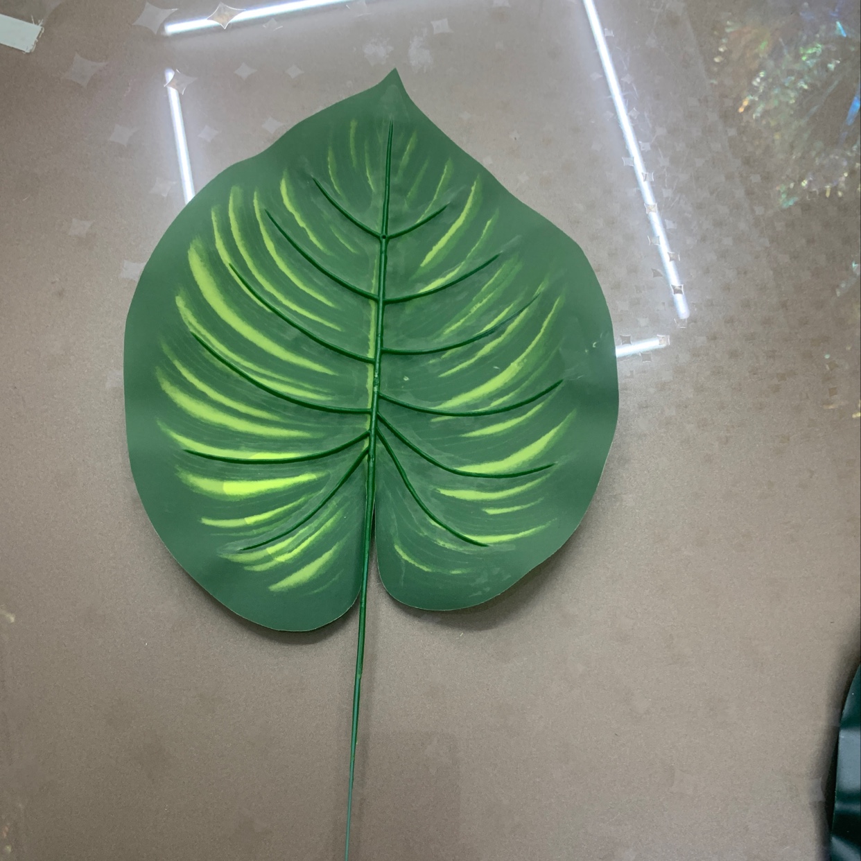 Watermelon leaf details Picture