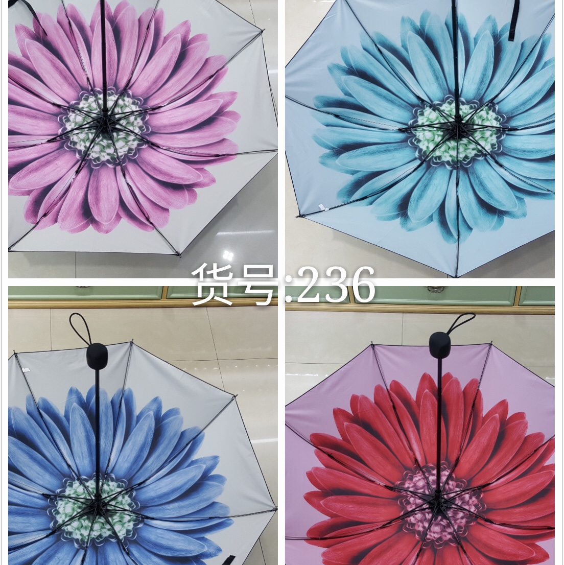 Sun Umbrella