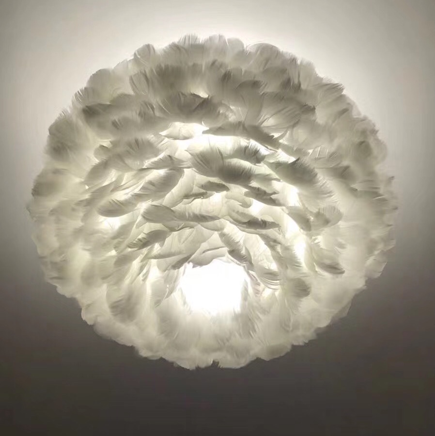 Princess style feather chandelier details Picture