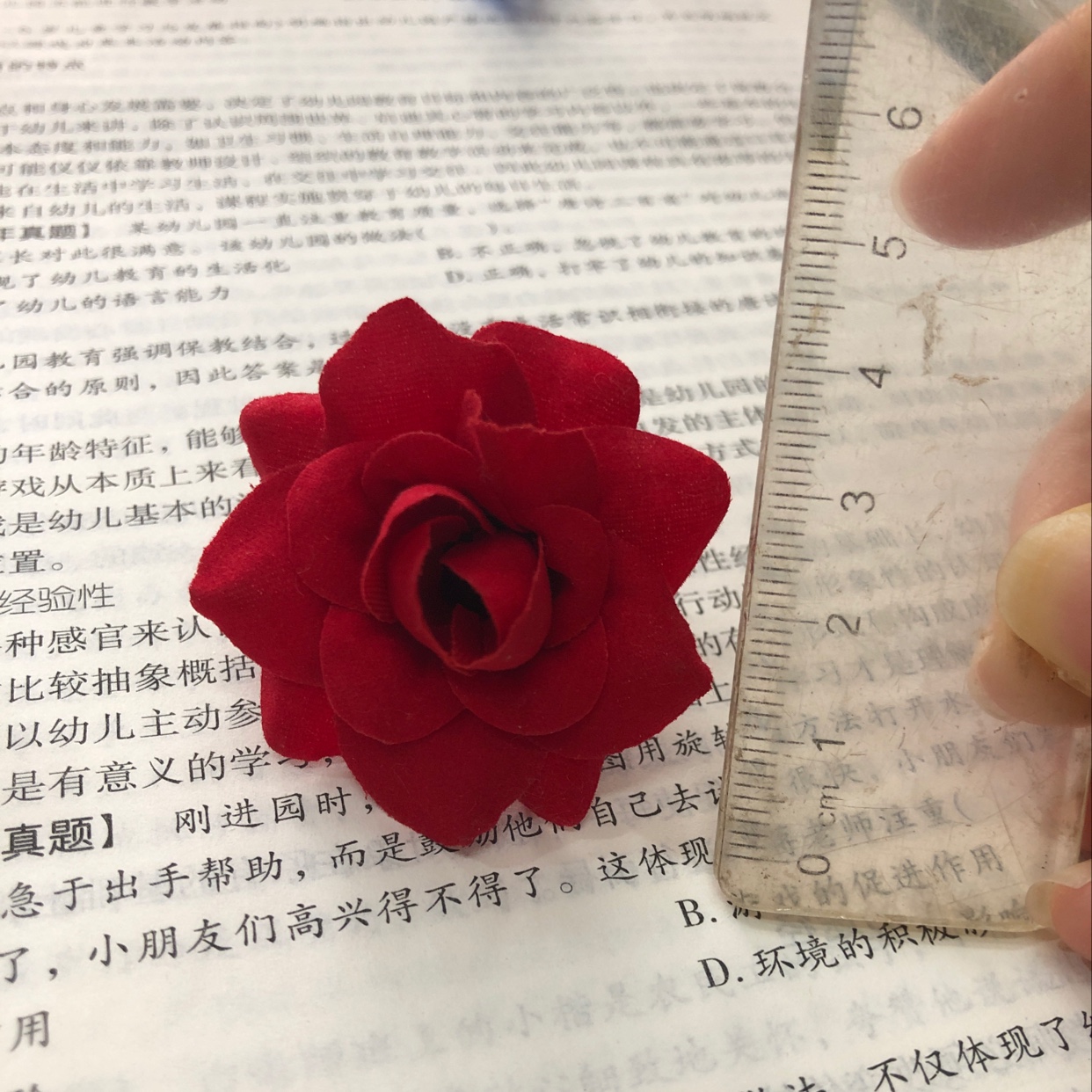 小卷边枚花头细节图