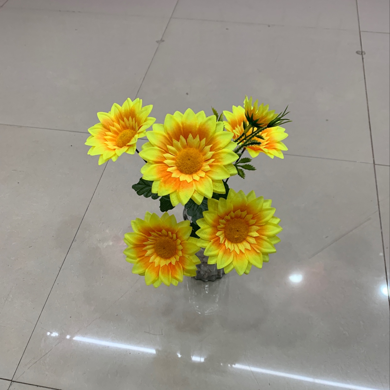 5叉6朵小太阳花