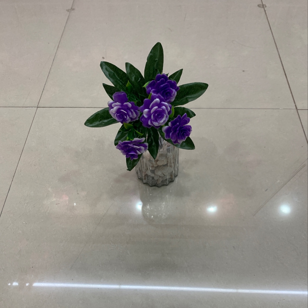 A small peony with five forks on a single branch A small peony with five forks on a single branch