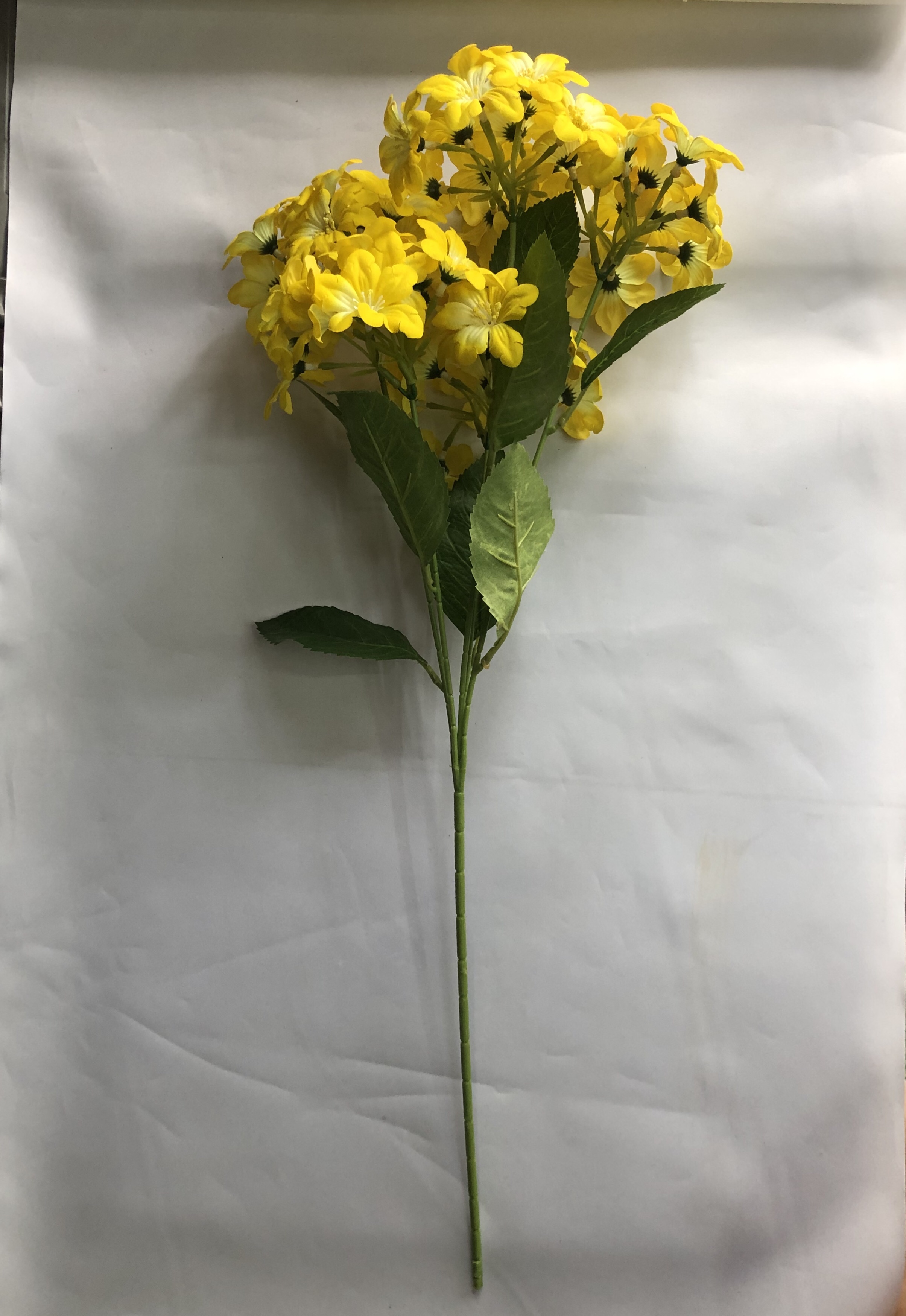 单枝5头雪花玫产品图