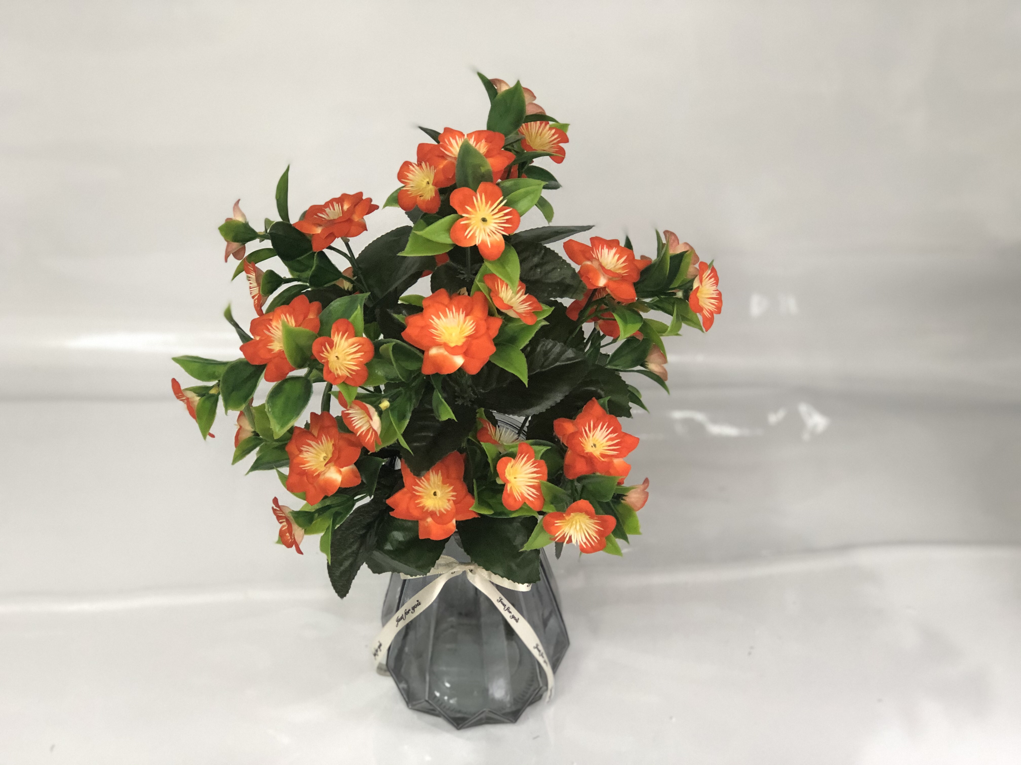 12头小4角枚白底实物图