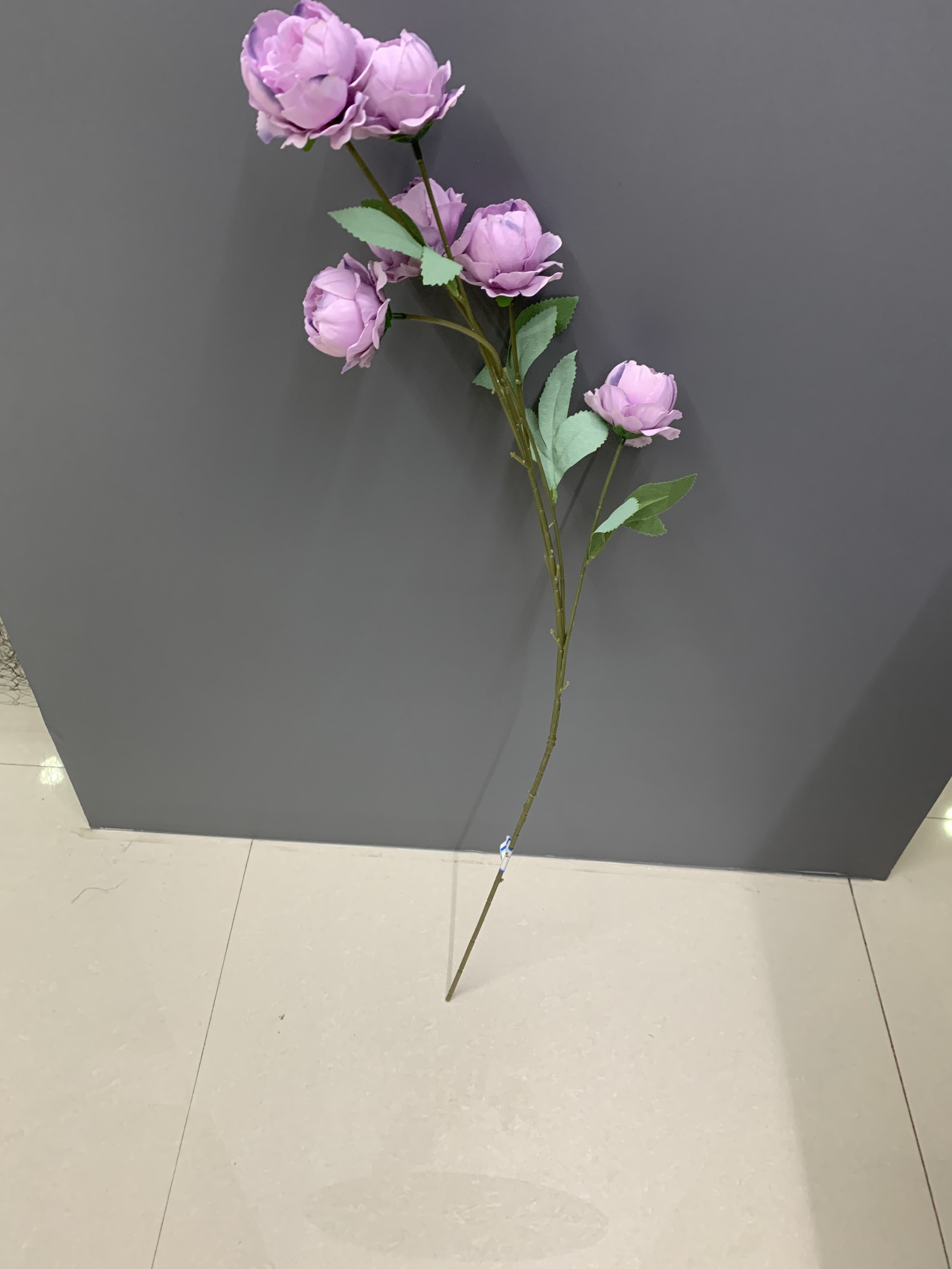 Linglong Peony Specification image