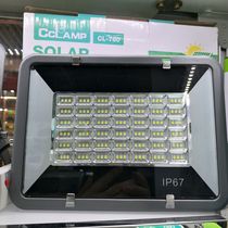 Solar floodlight 8001-60