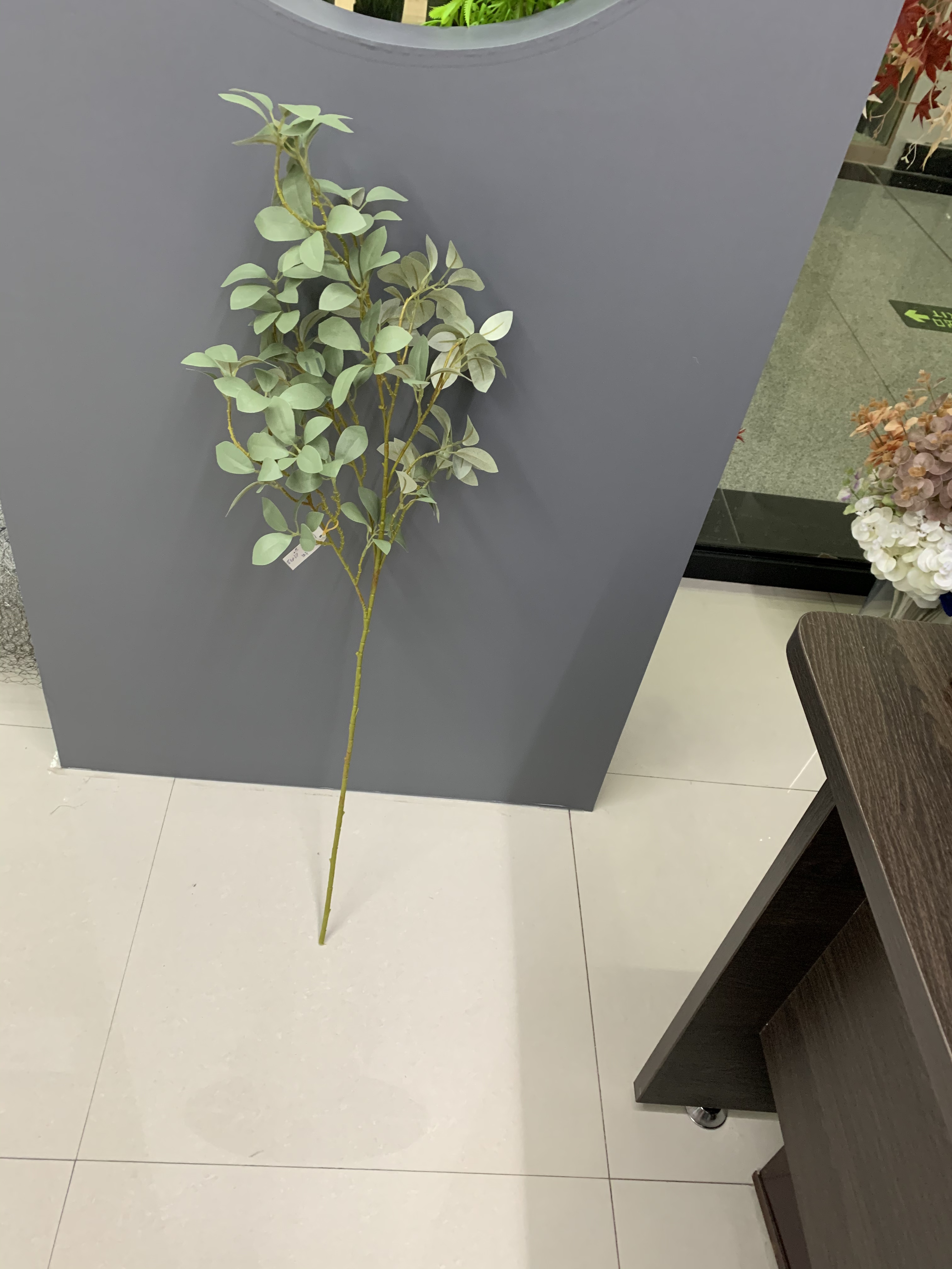 Money Banyan Specification image
