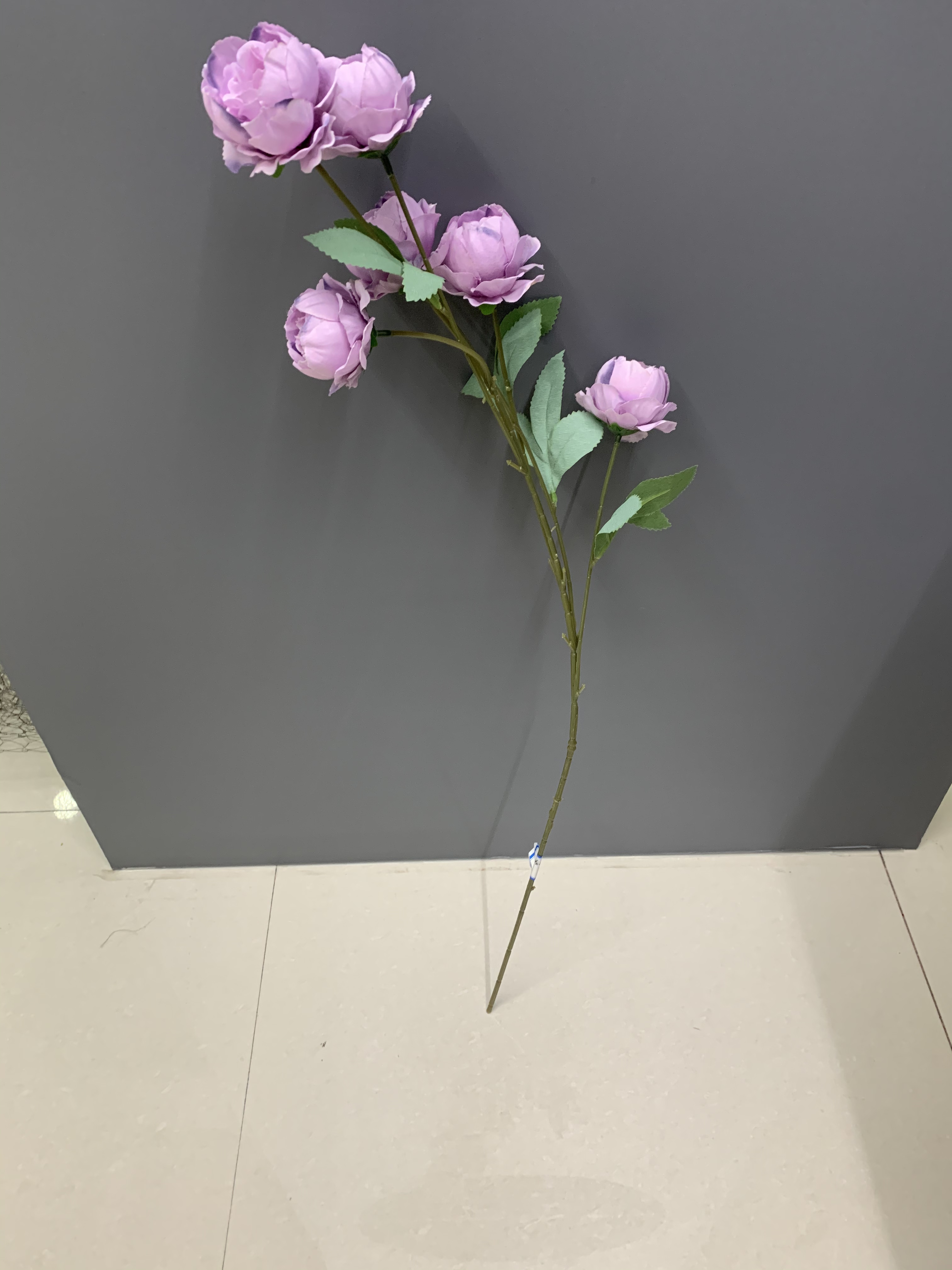 Linglong Peony Application Scenario