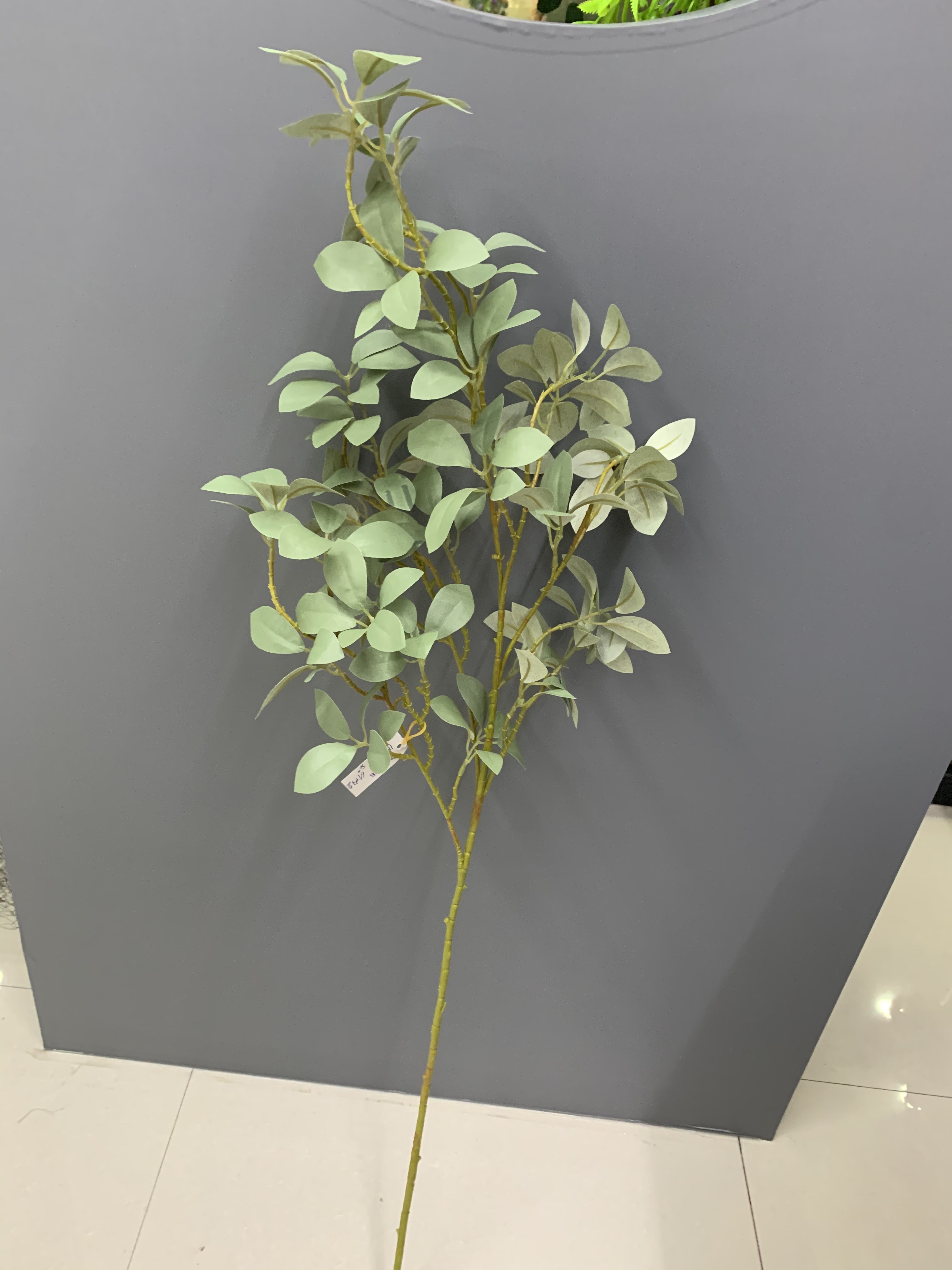 Money Banyan details Picture