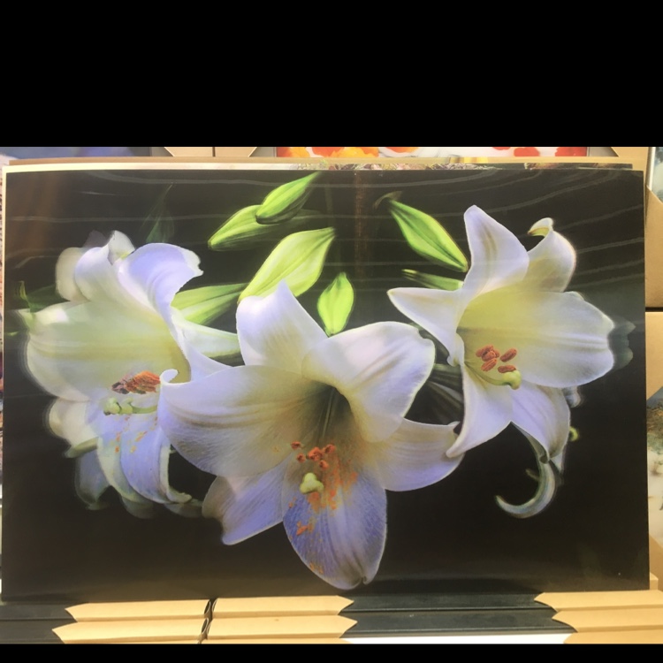4060 5D Three-Dimensional Painting Decorative Cartoon details Picture