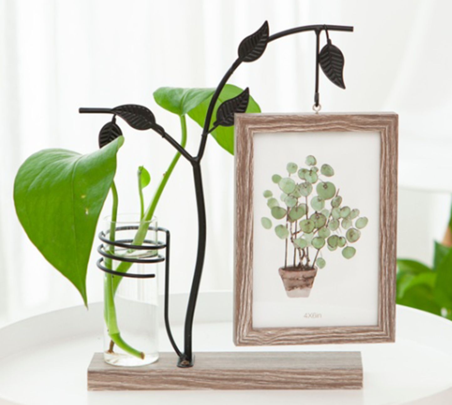 Yiwu Selection Tie Yi leaf hydroponics photo frame table (Deep coffee) /29015