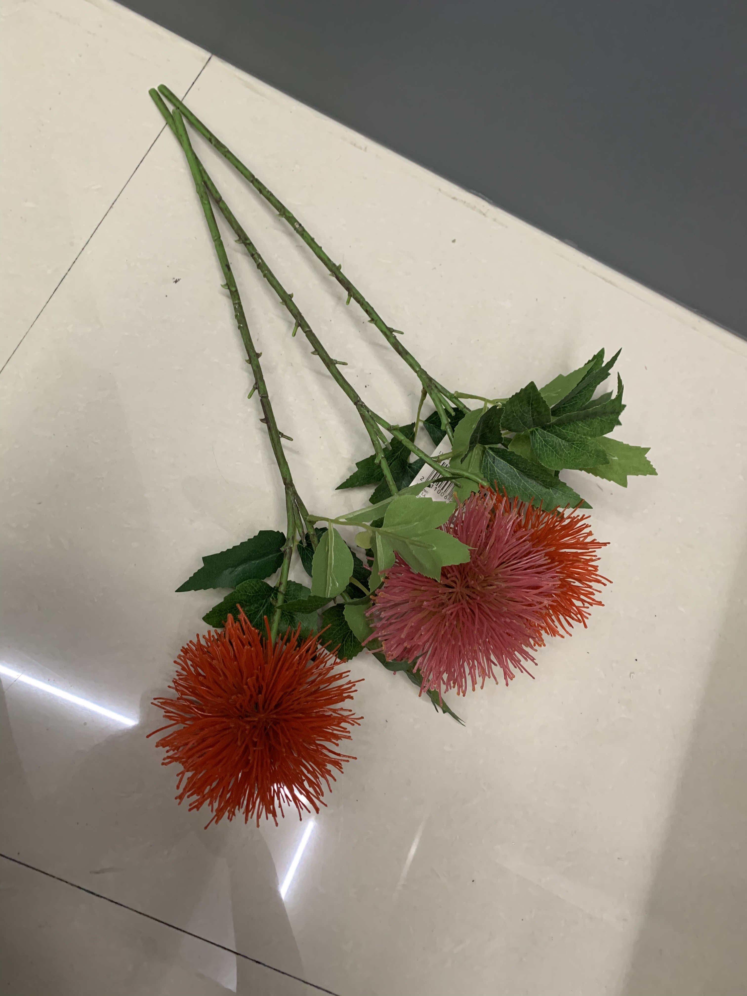 Small red flowers with silver leaves Specification image