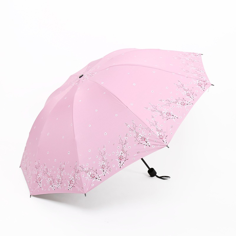晴雨两用黑胶伞十骨加大双人太阳伞防晒防紫外线清新腊梅雨伞