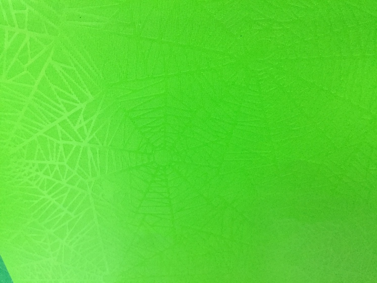 Fruit green spider wrapping paper