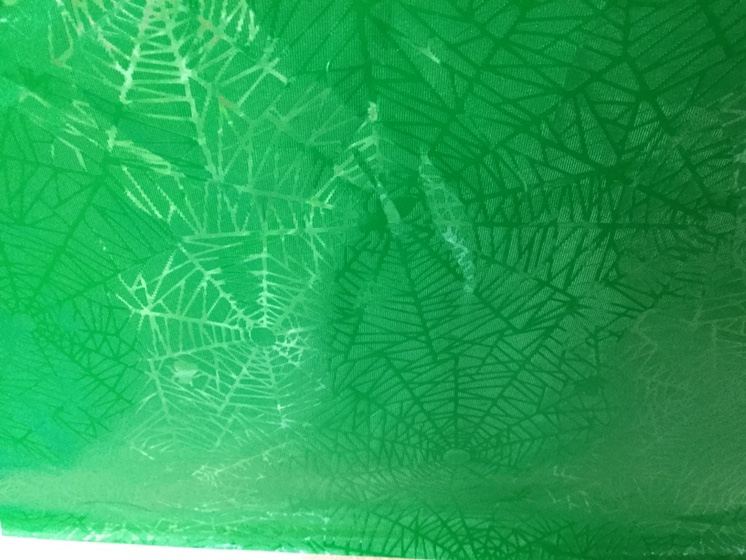 Grass green spider wrapping paper