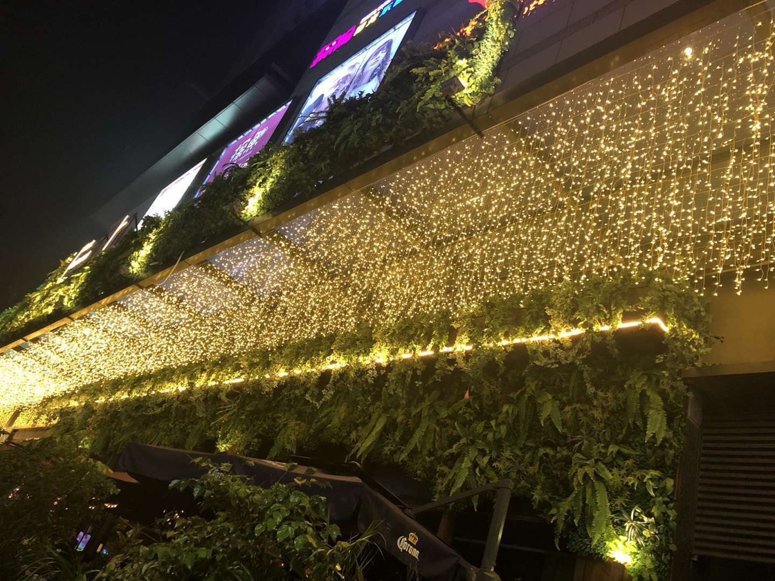 LED满天星冰条灯 圣诞春节广场亮化餐厅婚礼别院屋檐栏杆装饰彩灯详情图1