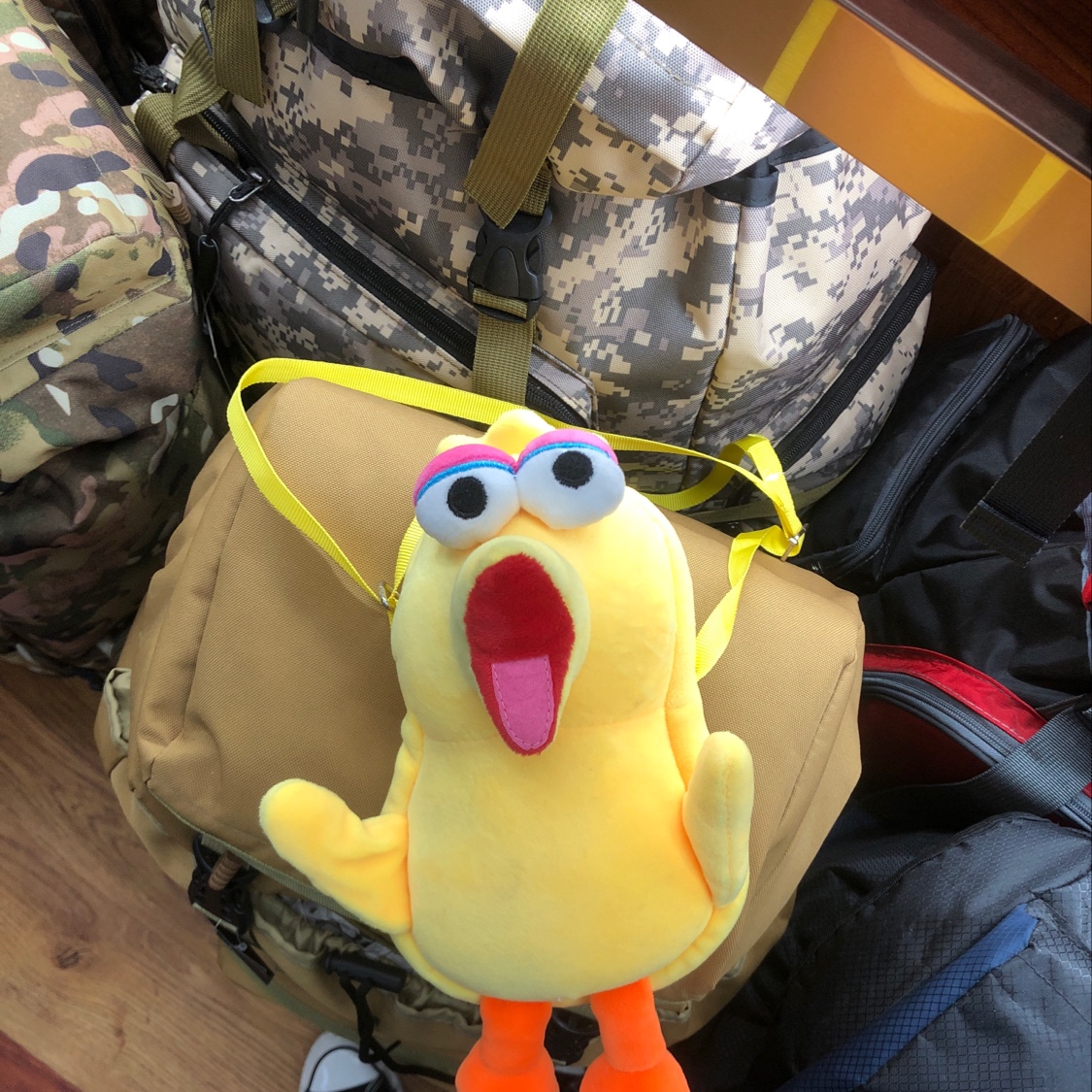 Small Plush Backpack