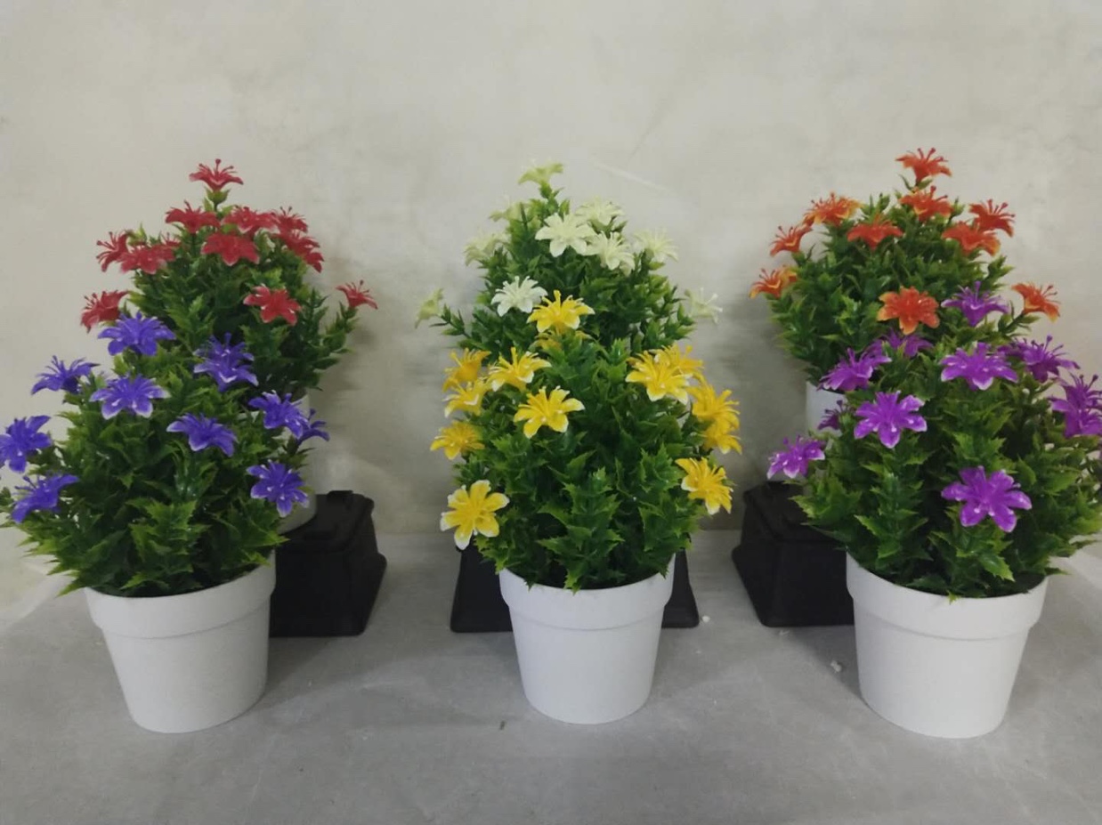 31目塔虫草玫瑰花