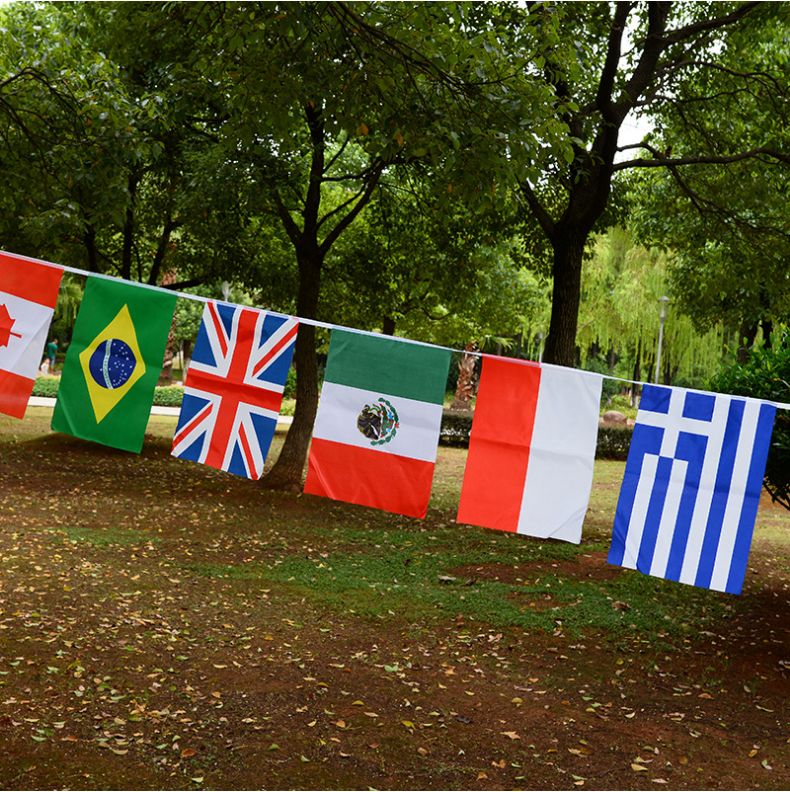 8号32面外国小彩旗世界串旗 世界杯各国旗帜吊旗定做 小红旗批发详情图1