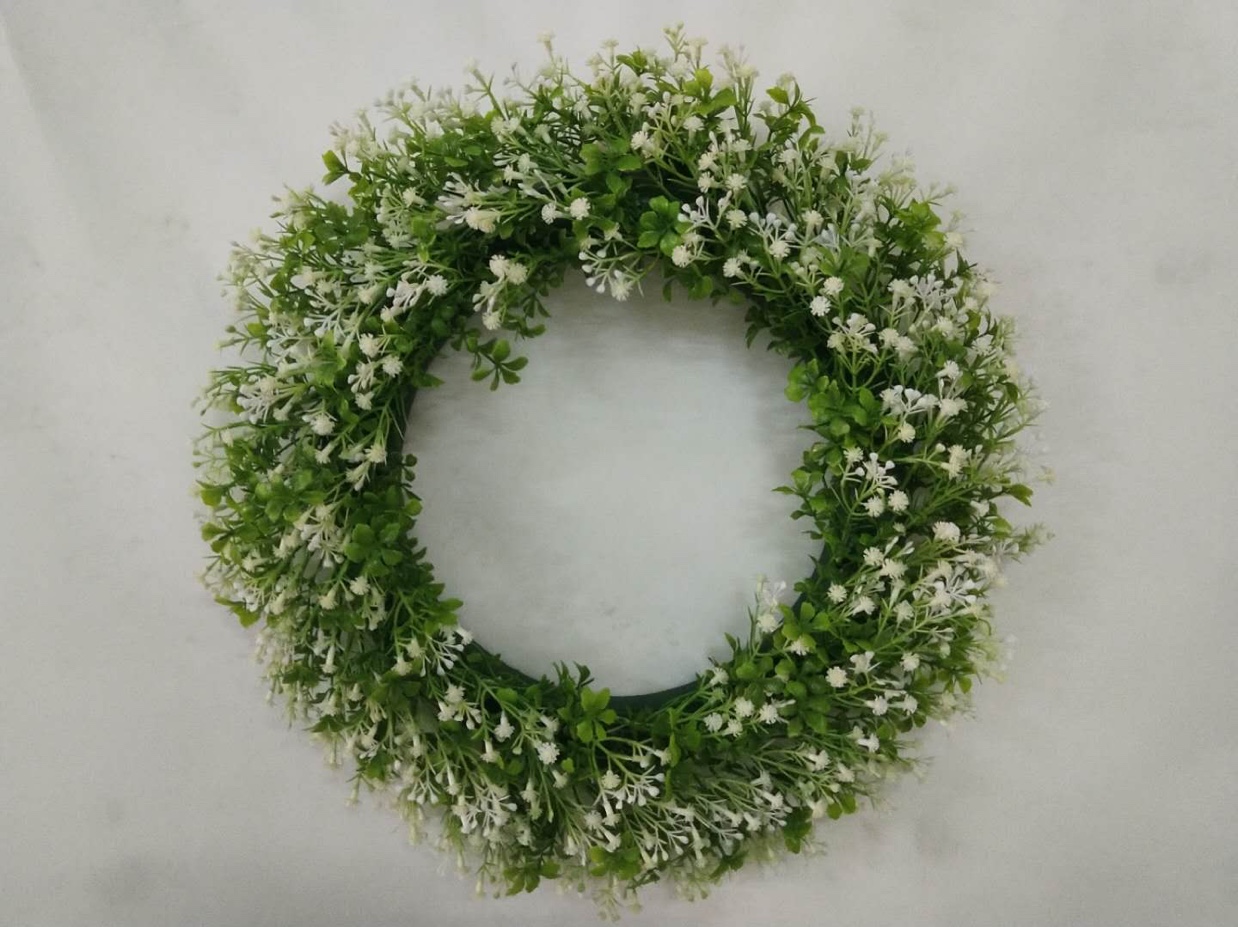 100目三叉满天星草