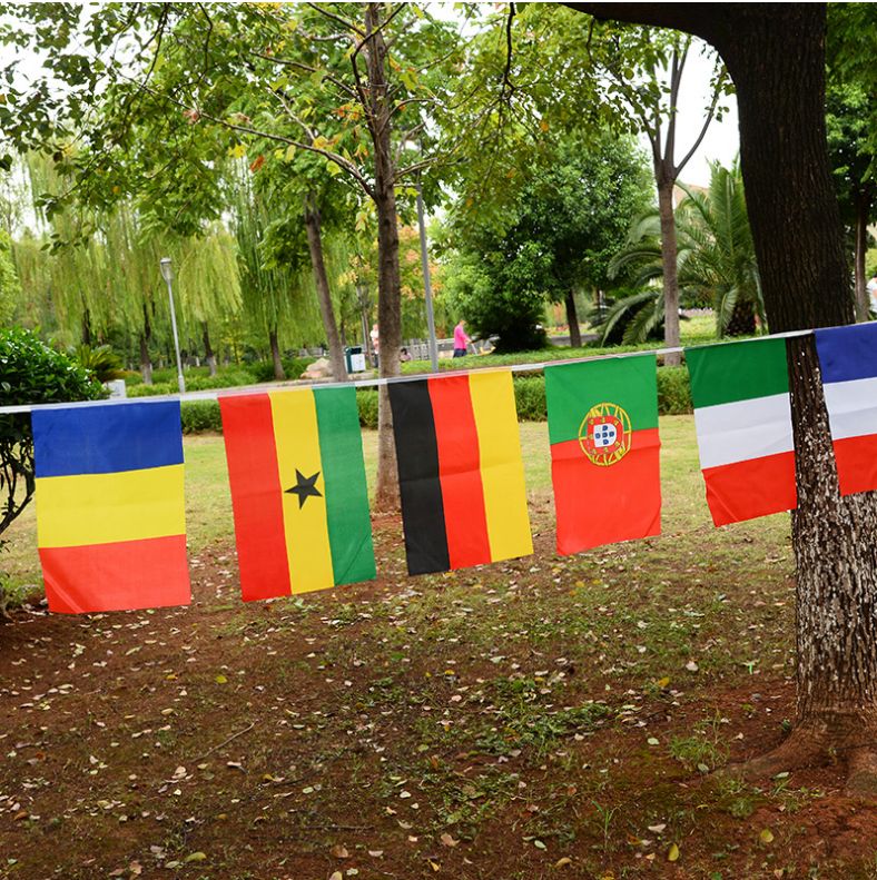 8号32面外国小彩旗世界串旗 世界杯各国旗帜吊旗定做 小红旗批发详情图8