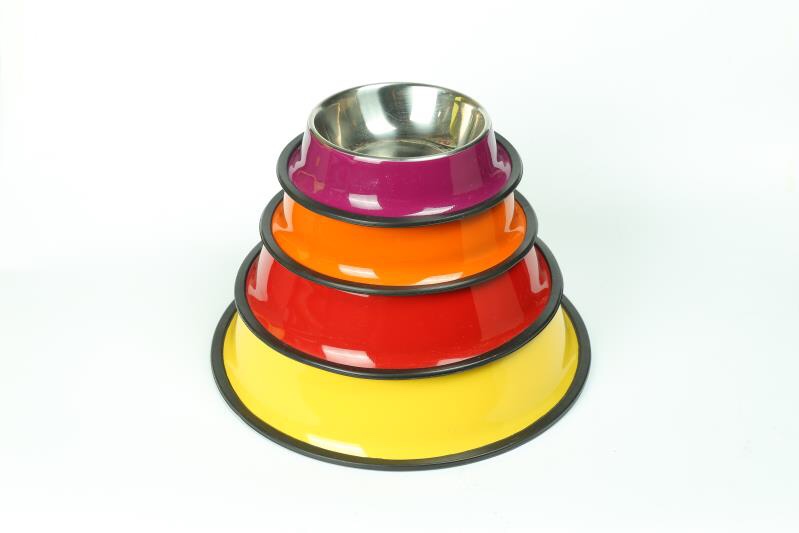 Pet Toys 9