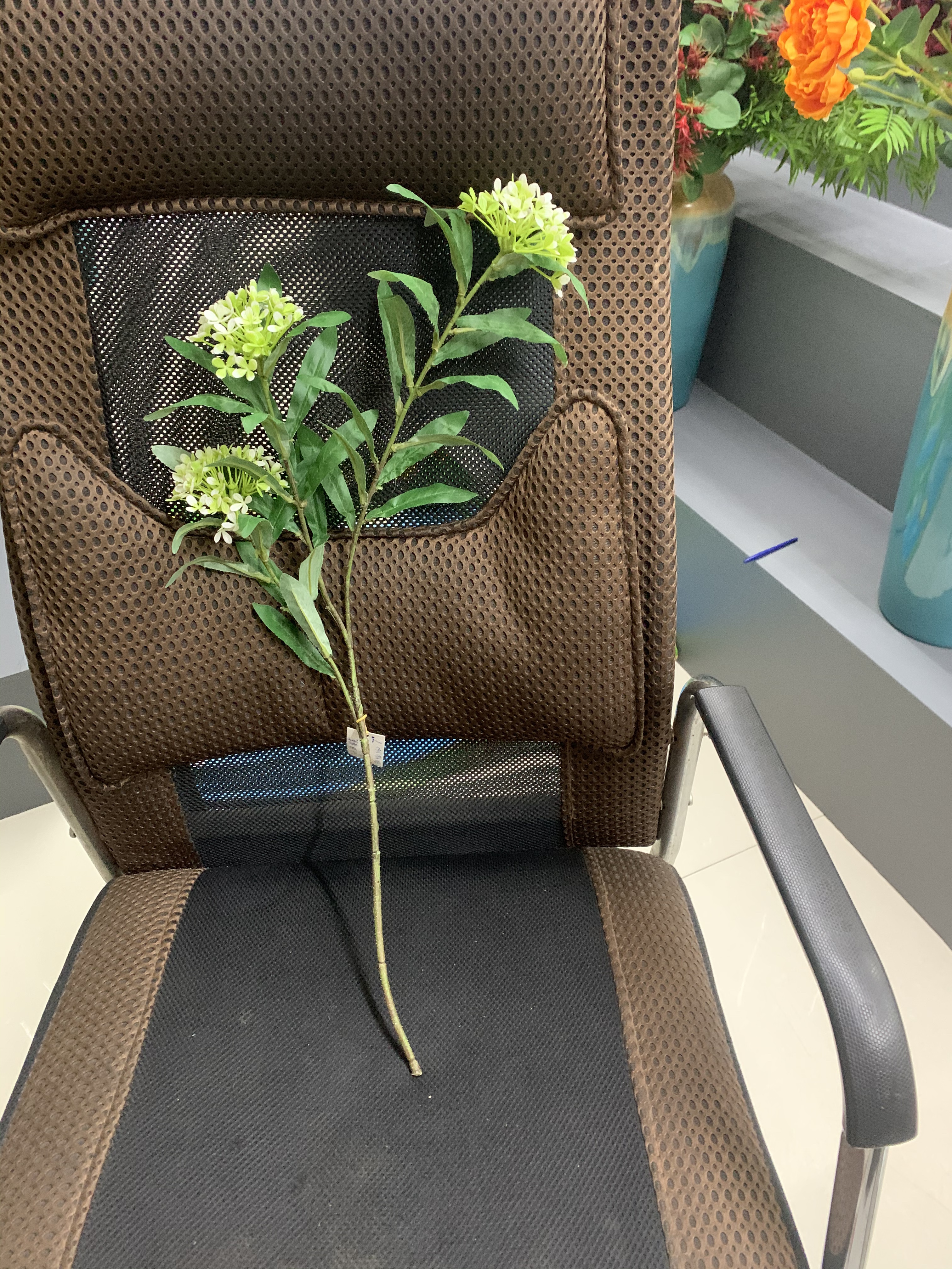 Three rape flowers Application Scenario