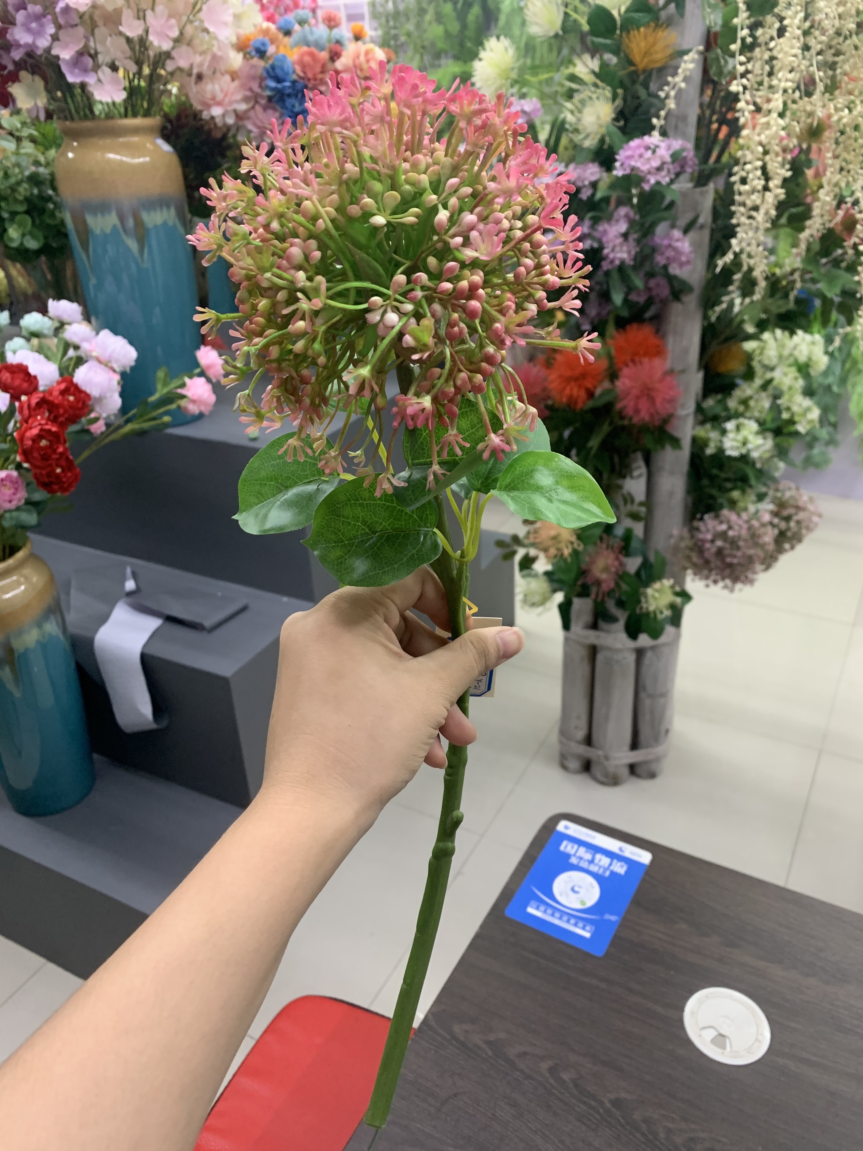 "Chaotian Fruit" Item Picture