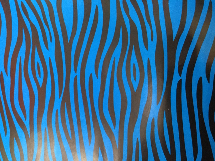 Bright blue zebra paper thumbnail