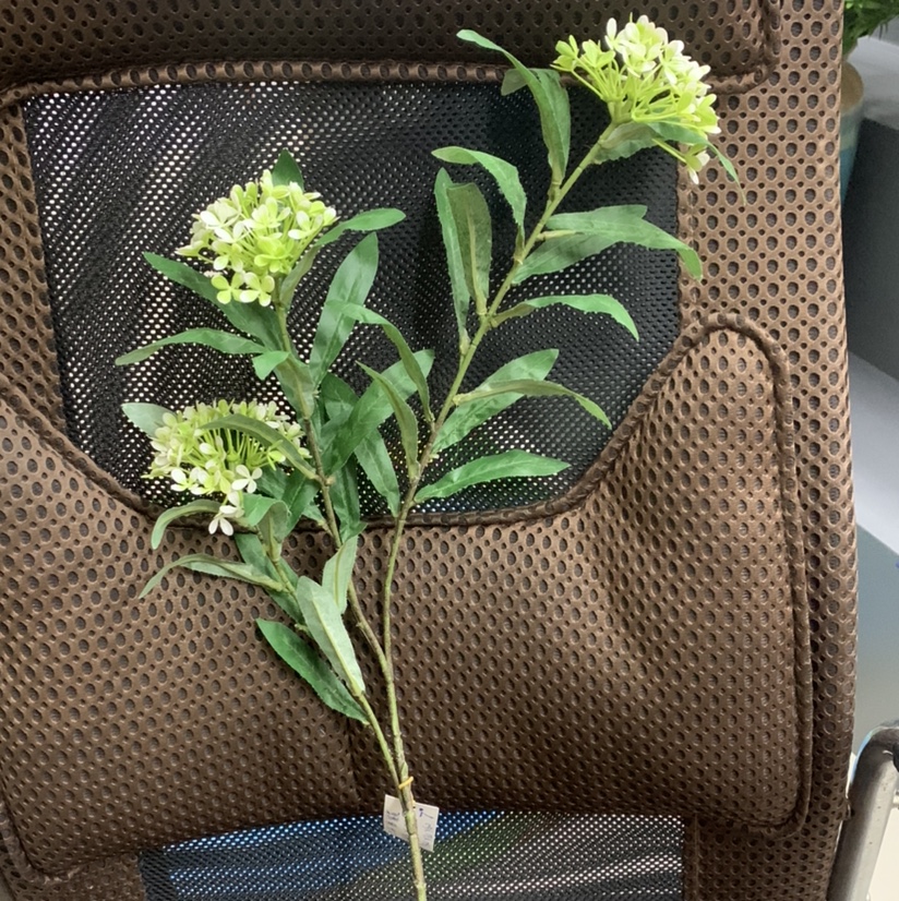Three rape flowers