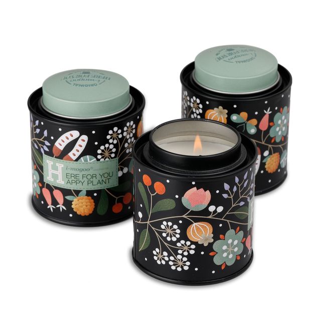 Japanese Tin Can details Picture