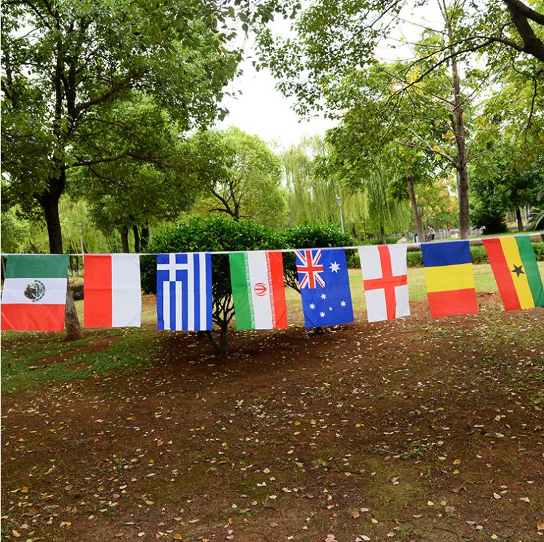 8号32面外国小彩旗世界串旗 世界杯各国旗帜吊旗定做 小红旗批发详情图12