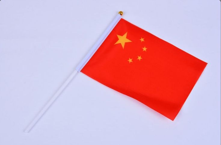 现货送杆子8号小国旗 中国国旗 导游手摇旗 装饰旗定做量大从优详情图5