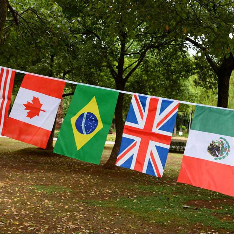 8号32面外国小彩旗世界串旗 世界杯各国旗帜吊旗定做 小红旗批发详情图10