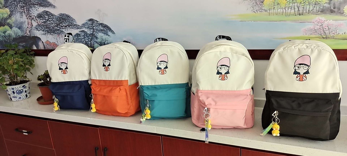 Casual Bag 5
