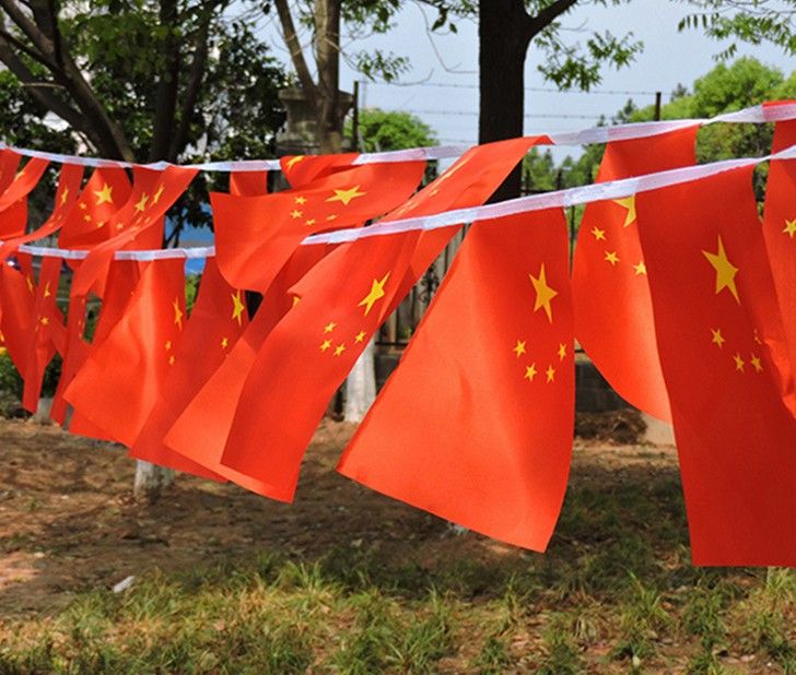 50面8号旗帜串旗中国小国旗串旗吊旗五星红旗彩旗国庆布置装饰