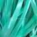 Plastic flat tape detail image 1