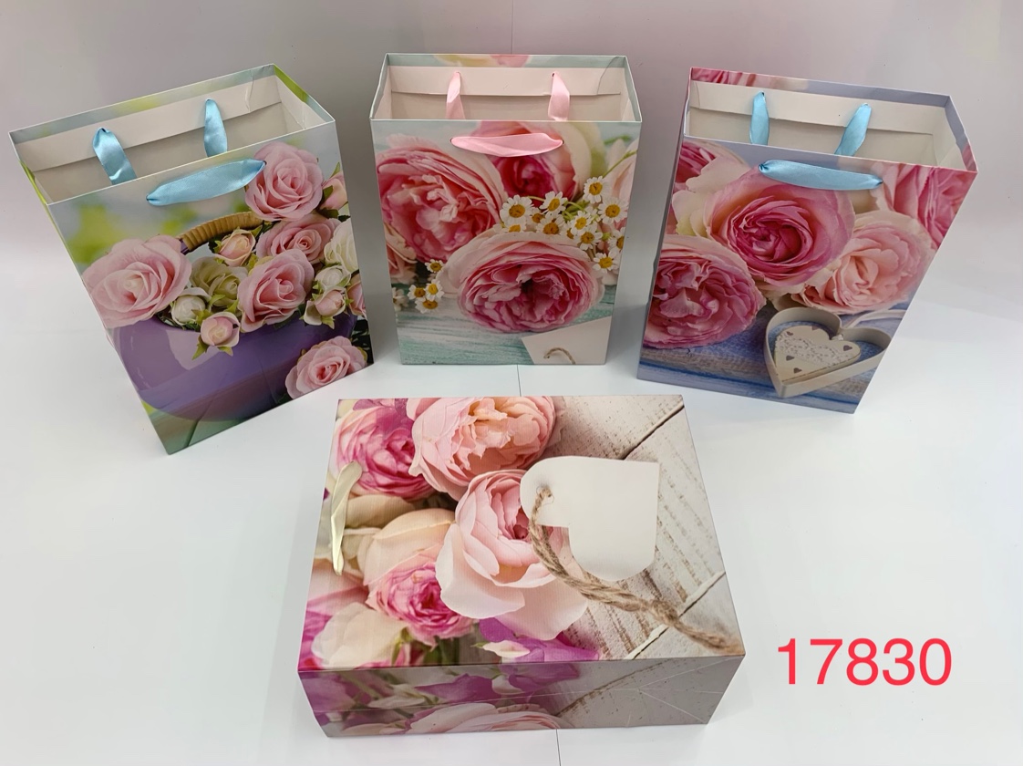 普通款印刷花朵礼品袋生日袋母亲节情人节可用