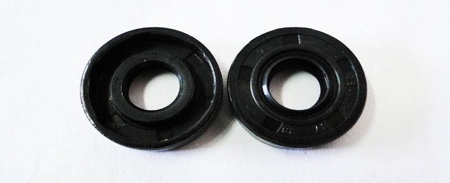 Large oil seal