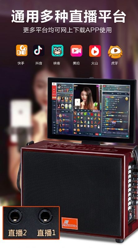 Live audio system detail image 1
