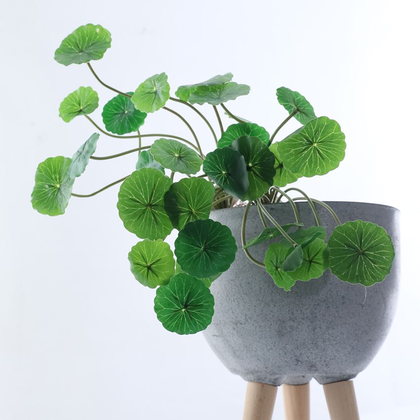 Simulated mini lotus leaf handle with a comfortable grip, simulated pennywort plant, artificial flower leaves, Pennywort HC31015, lotus leaf pennywort film details Picture