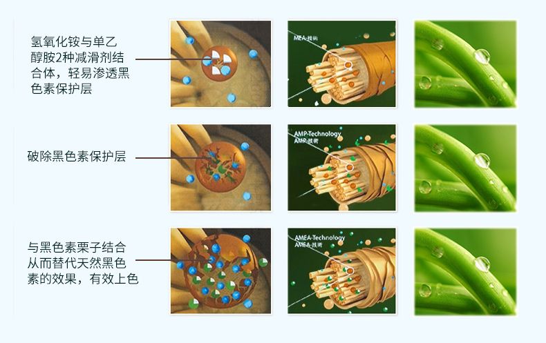 240mlWILD OLIVE奥绿芙染发剂2020新款 咖啡色详情图4