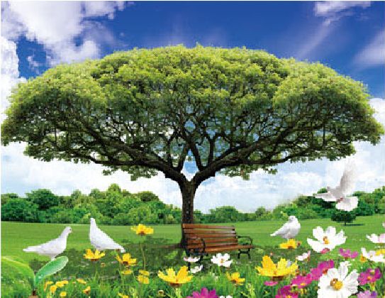Nano Magic Crystal Painting, Hd Pet Sticker, Interior Decoration Painting 30*40Cm Item Picture