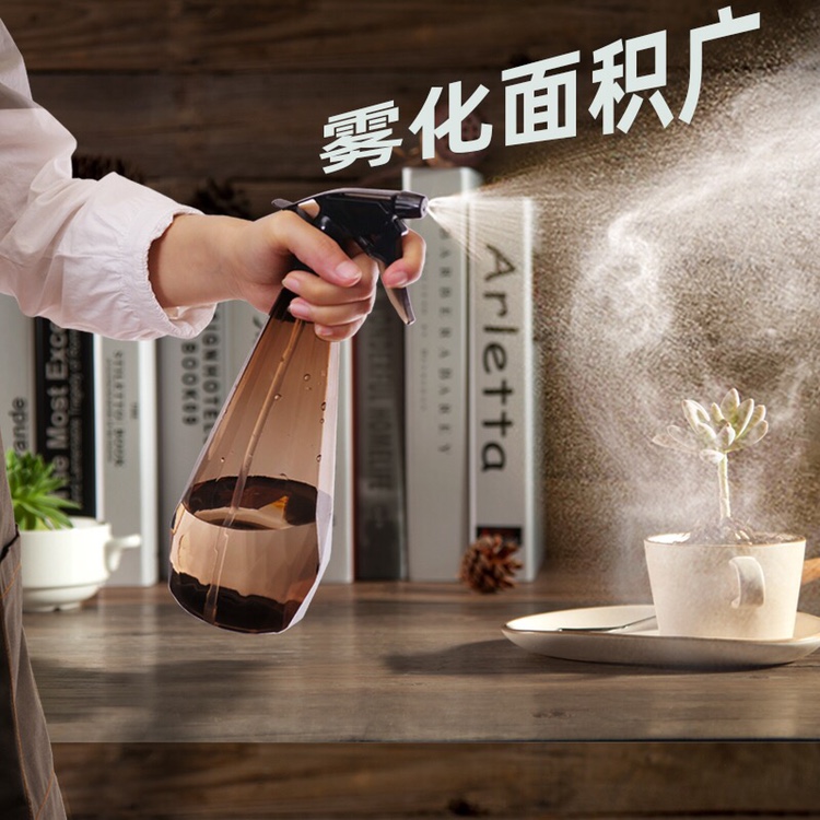 消毒喷水壶浇花园艺小型家庭用洒水壶室内喷雾器浇水壶小喷壶包邮