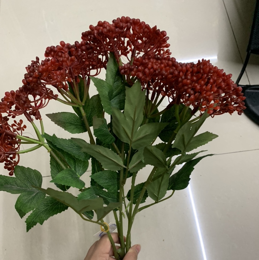 A bunch of fragrant fruits