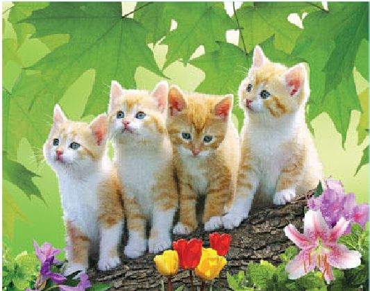 Nano Magic Crystal Painting, Hd Pet Sticker, Interior Decoration Painting 30*40Cm details Picture