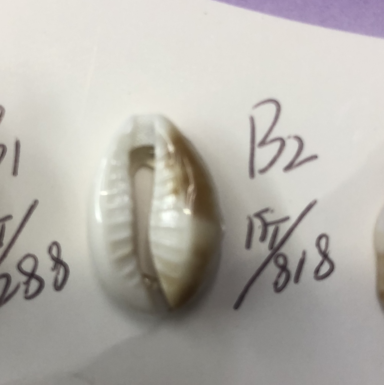 Acrylic imitation shell accessories pendant curtain accessories lighting thumbnail