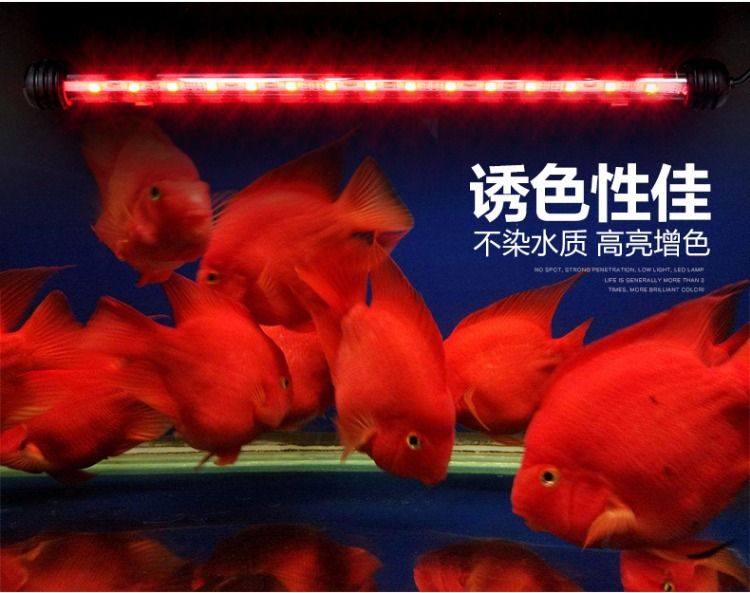 LED水族箱灯防水造景灯鱼缸灯潜水灯三基色鹦鹉金龙红龙鱼专用灯详情图3