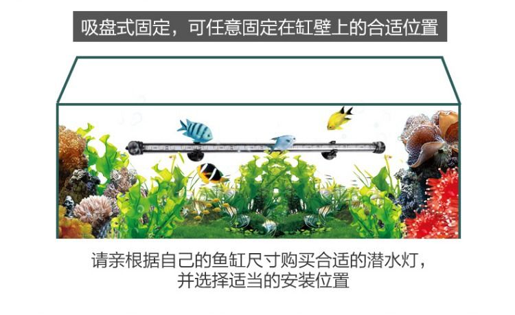 LED水族箱灯防水造景灯鱼缸灯潜水灯三基色鹦鹉金龙红龙鱼专用灯详情图14