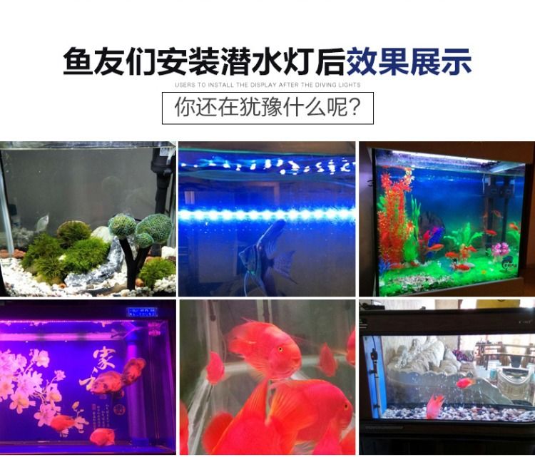 LED水族箱灯防水造景灯鱼缸灯潜水灯三基色鹦鹉金龙红龙鱼专用灯详情图4